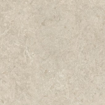 IS02 사하라 그레이